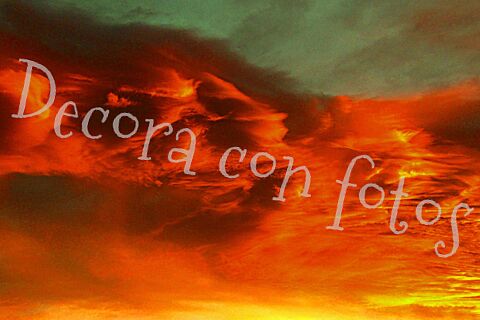 Affiches décoratives