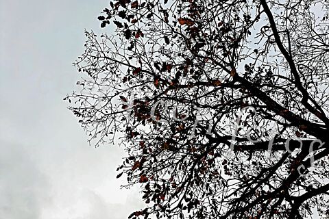 Affiches décoratives