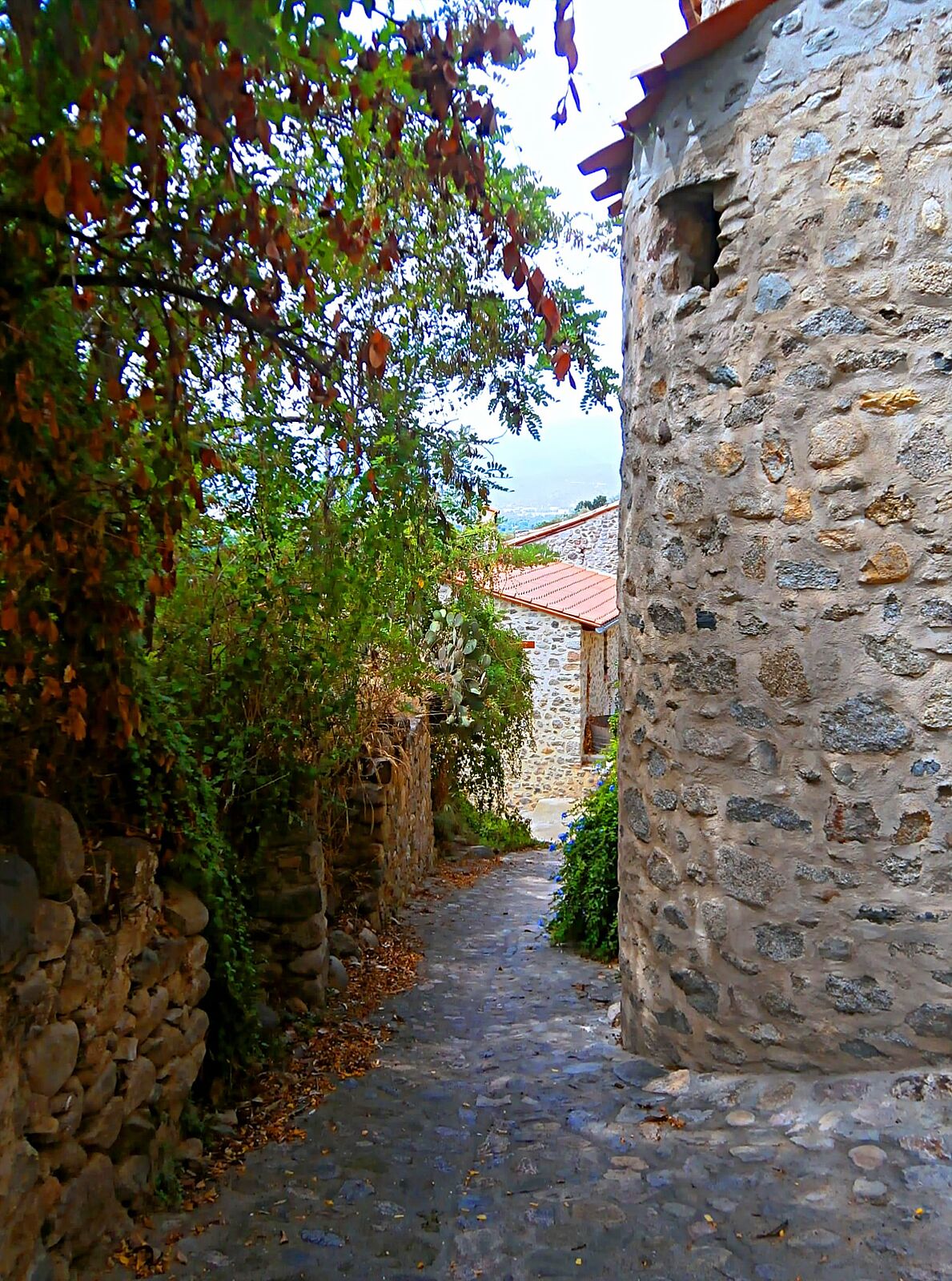 EllaRegards - p7220332_modifie-ts20251118164826755575.jpg