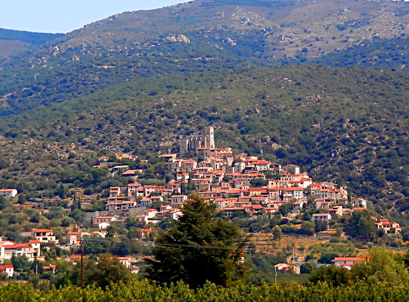 ELLA regards - p7220293_modifie-ts20251120194618787841.jpg