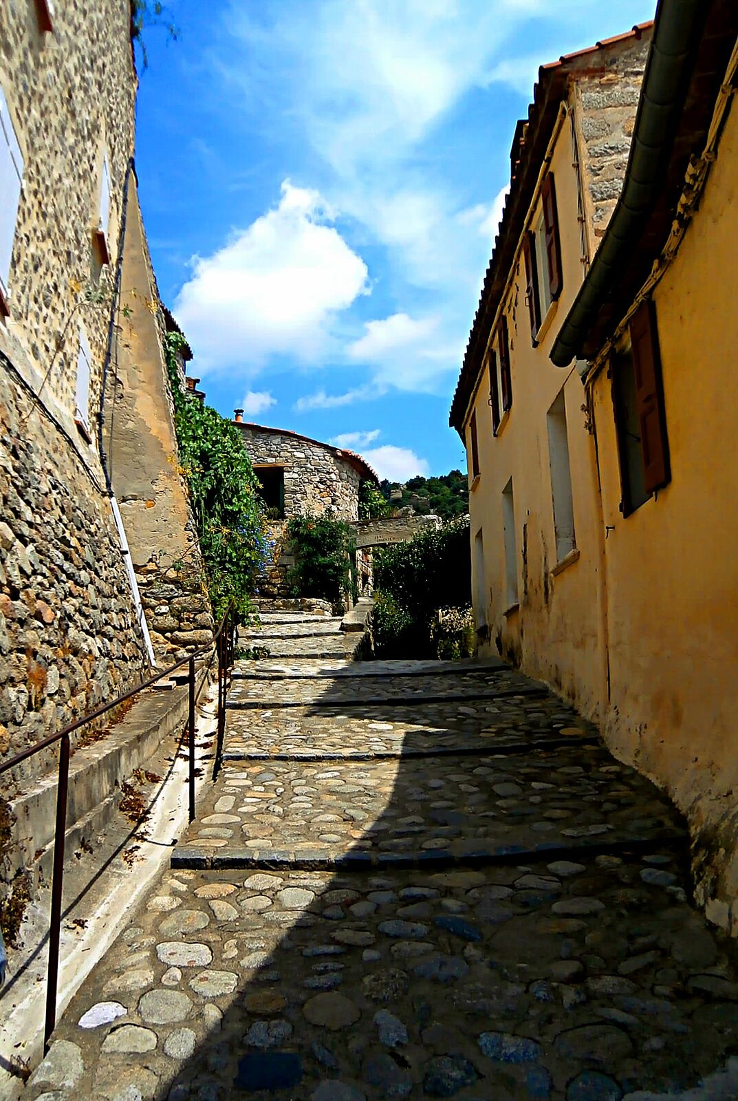 ELLA regards - p7220342_modifie-ts20251120195204709173.jpg