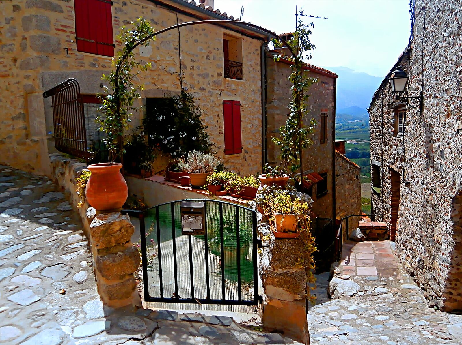 ELLA regards - p7220359_modifie-ts20251120195418213502.jpg