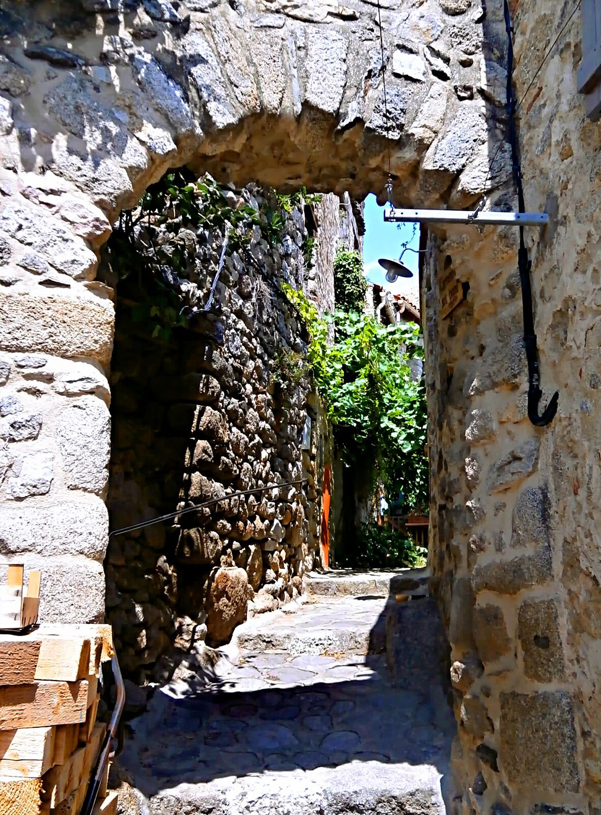 ELLA regards - p7220379_modifie-ts20251120195639165566.jpg