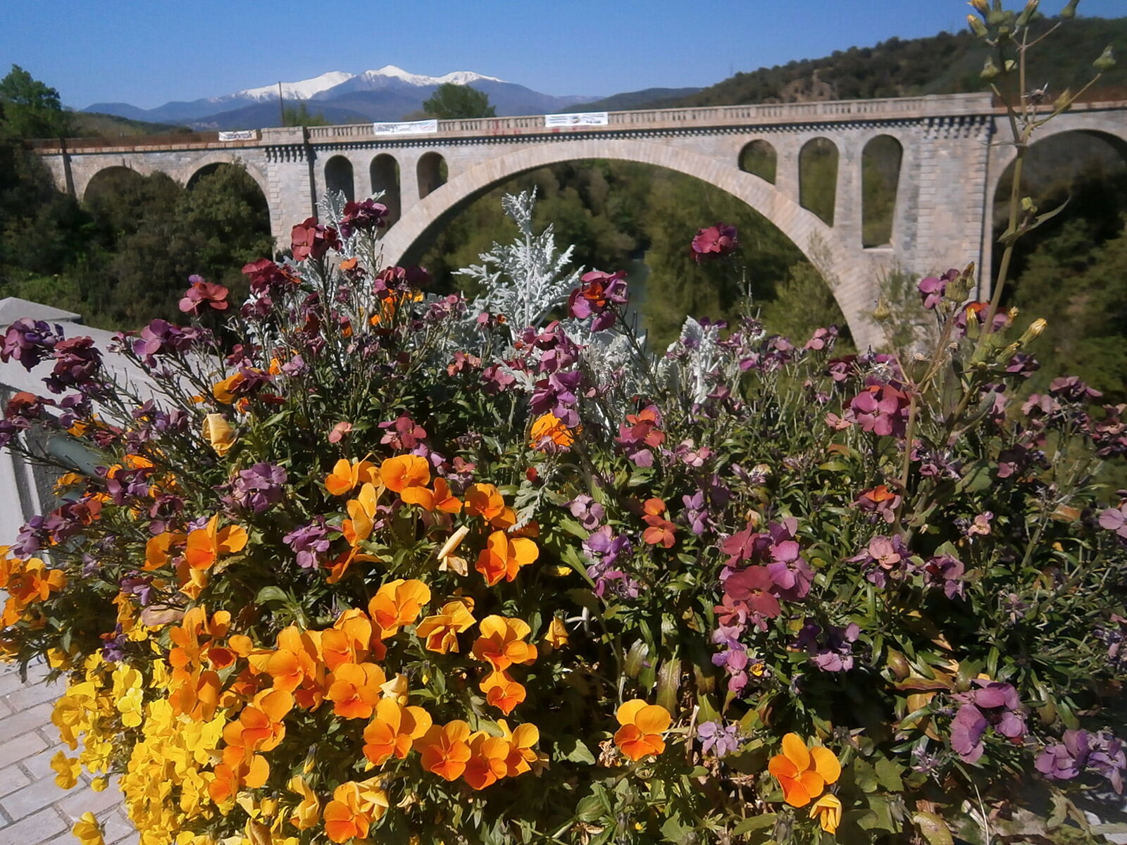 Posterdecofr - p4080154-ts20260209180950699741.jpg