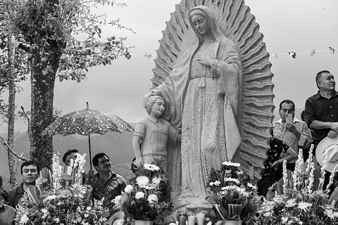 Camino de Guadalupe