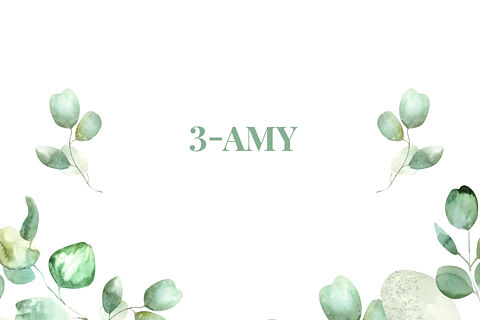 3-AMY