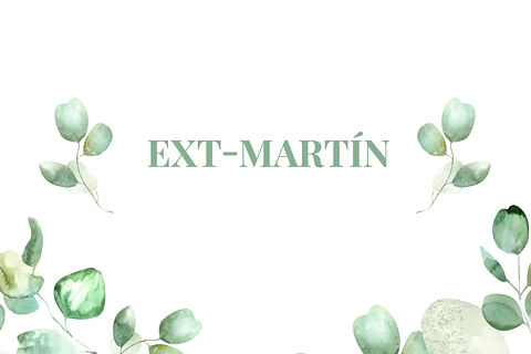 EXT-MARTÍN