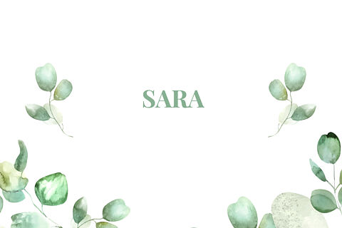 SARA-2