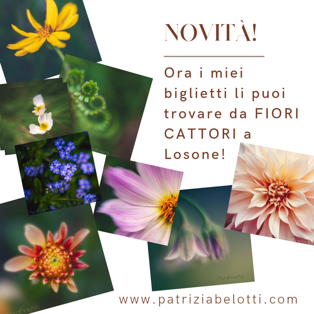 PhotoWithLove - post-instagram-nuovi-arrivi-prodotti-elegante-marrone-bianco_20251014_191044_0000-ts20251101112022711579.png
