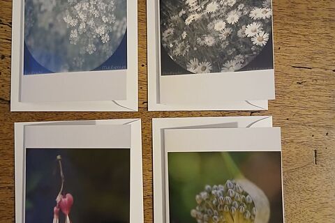 BIGLIETTINI FOTOGRAFICI