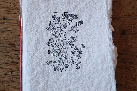 BIGLIETTINI CON FIORI STAMPATI