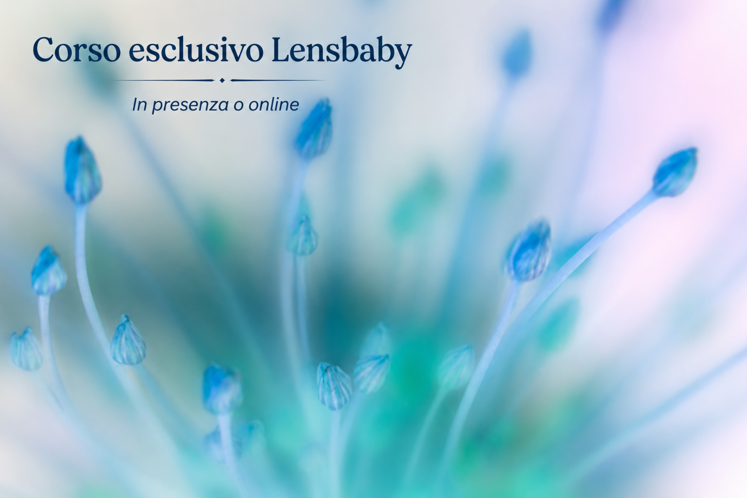 PhotoWithLove  - corso-lensbaby-arcadina-ts20260604123918695680.png