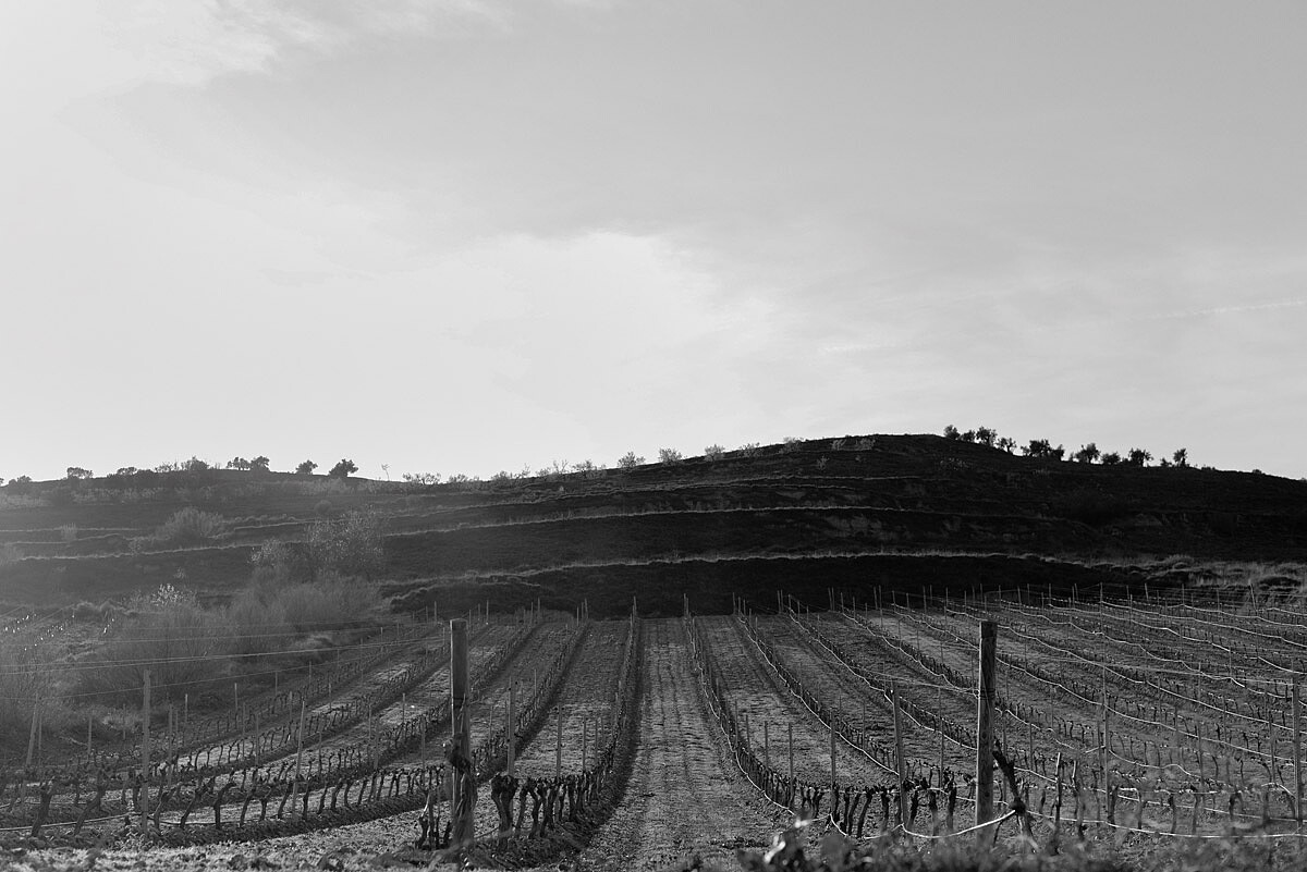 Encuentro_Corera_Photo_Sergio_Reyes_Fotografo_033