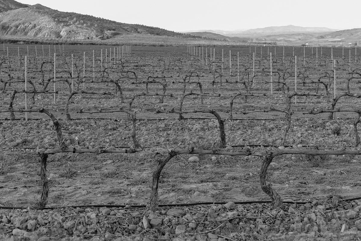 Encuentro_Corera_Photo_Sergio_Reyes_Fotografo_035