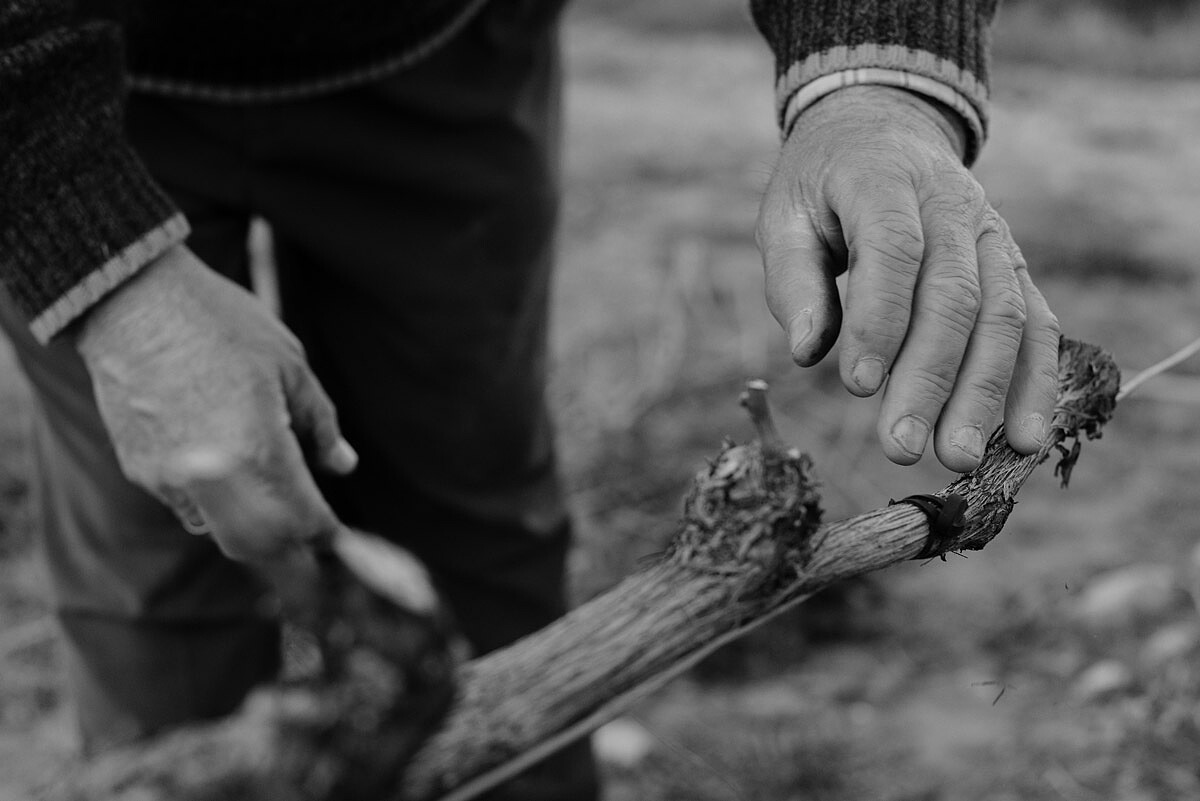 Encuentro_Corera_Photo_Sergio_Reyes_Fotografo_036