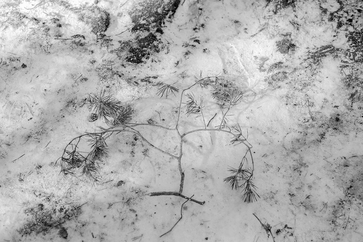 Fotografo_de_bodas_Madrid_Sergio_Reyes_Sesion_de_familia_Navidad_Puerto_de_Canencia_012