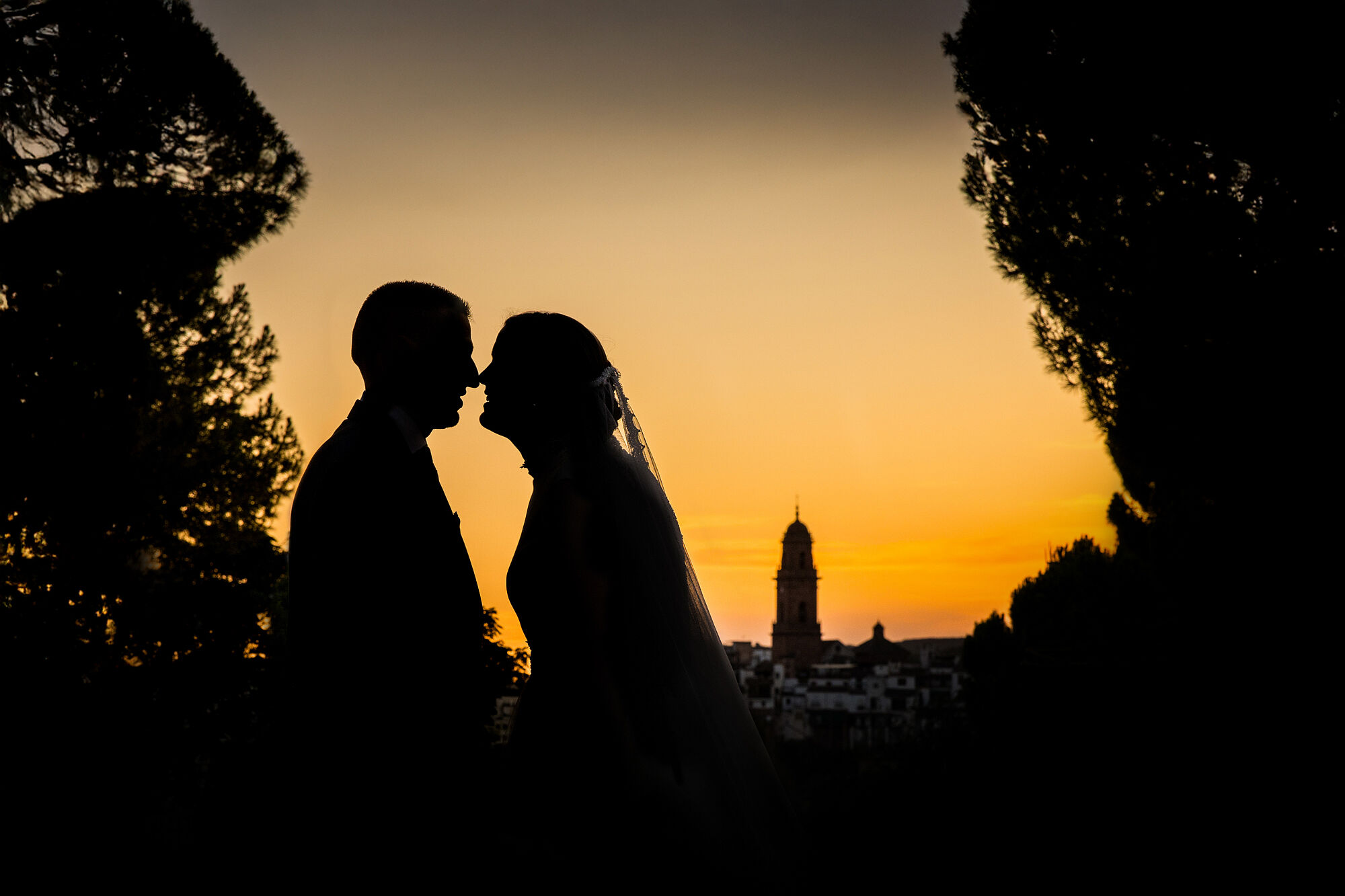 La boda de Cristina e Ildefonso (19)