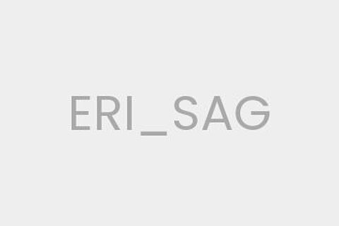 ERI_SAG