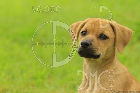 galeria 02