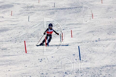 1º Niños U12 SL