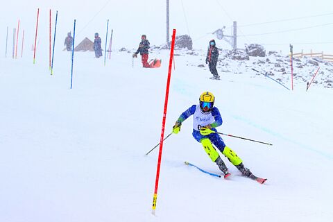 SL U16 H