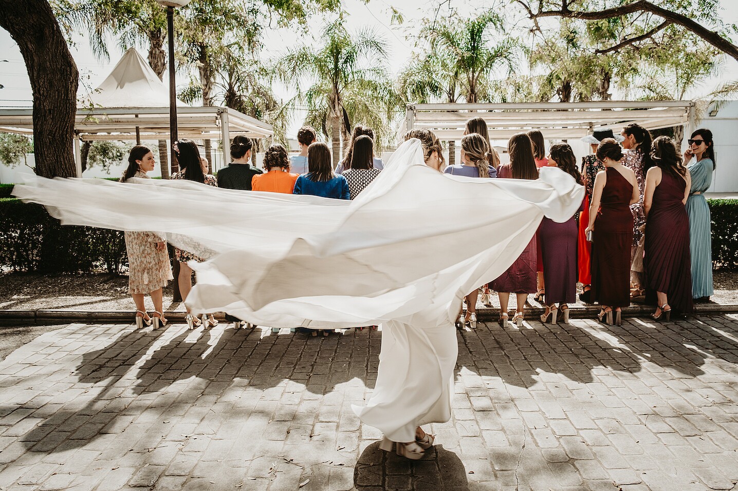 fotos de grupo diferentes