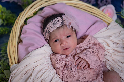 New Born Pictures
