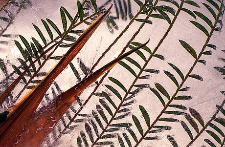 DESCARTE GLACIAL ANALÓGICO