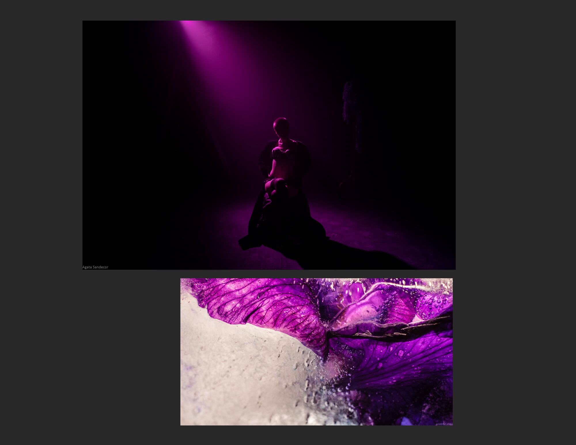 BLUME CABARET