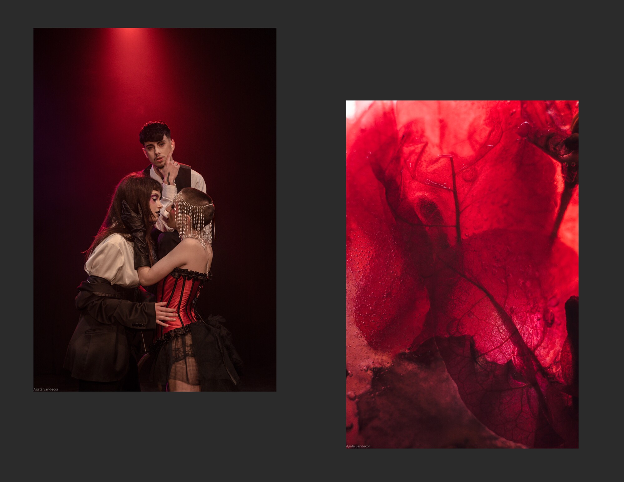 BLUME CABARET