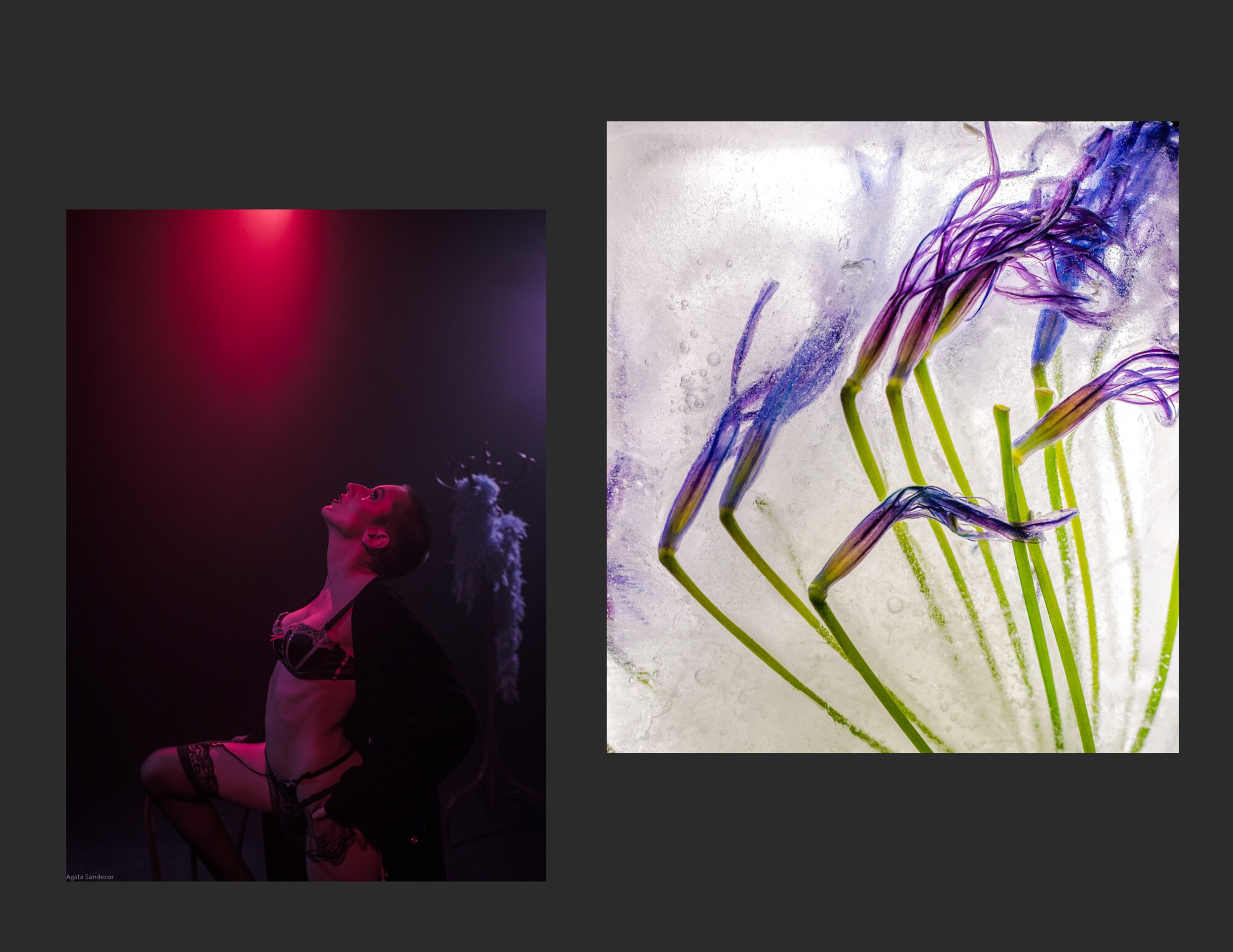 BLUME CABARET