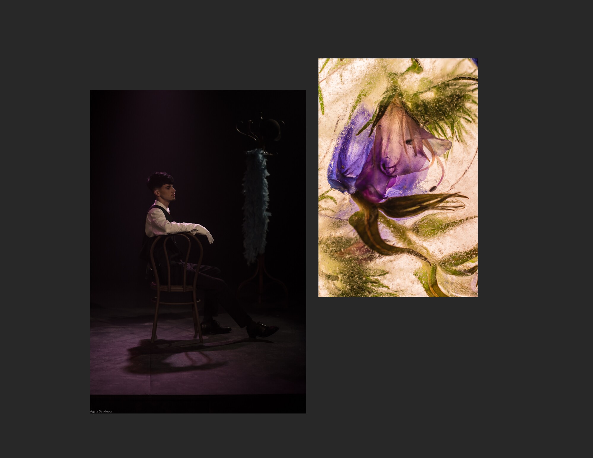BLUME CABARET