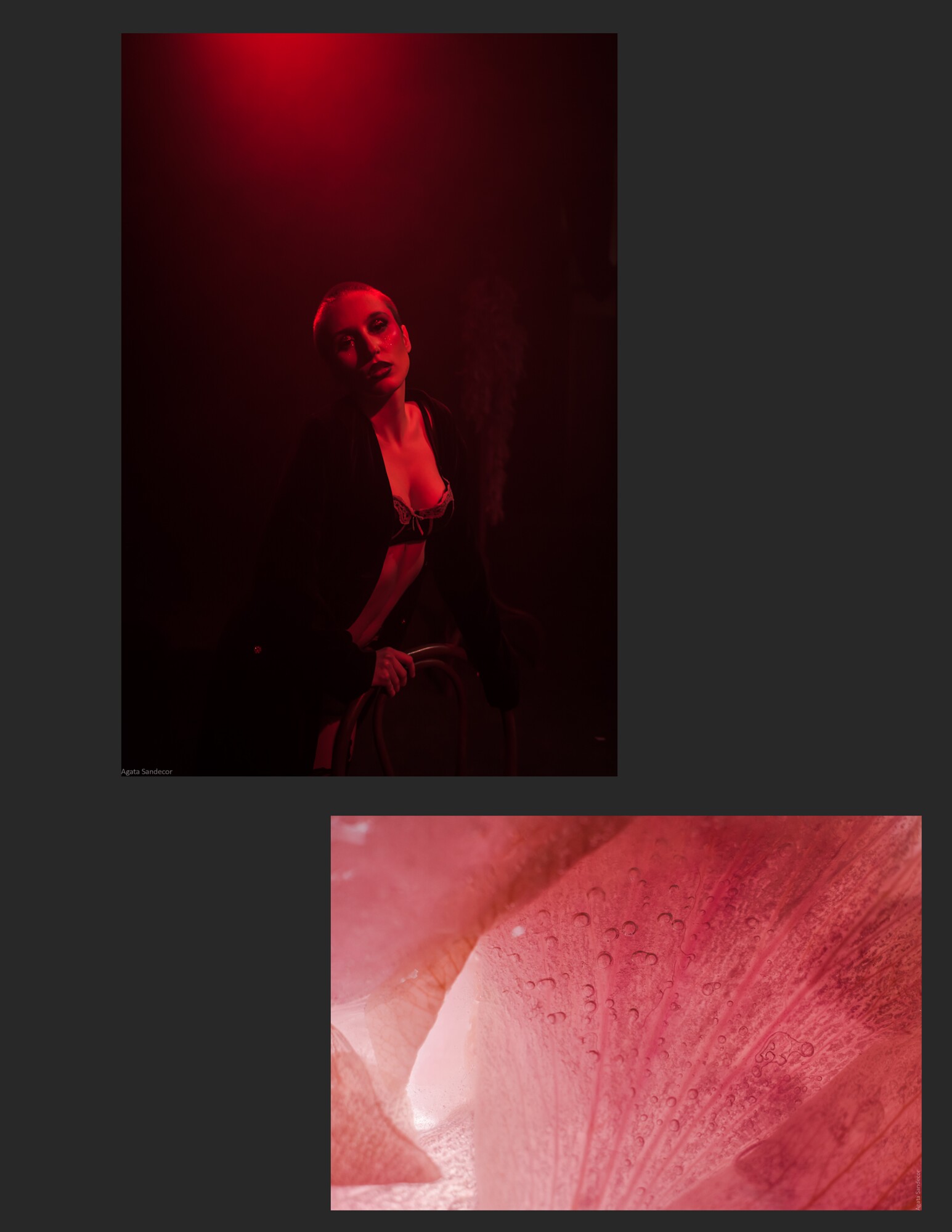 BLUME CABARET