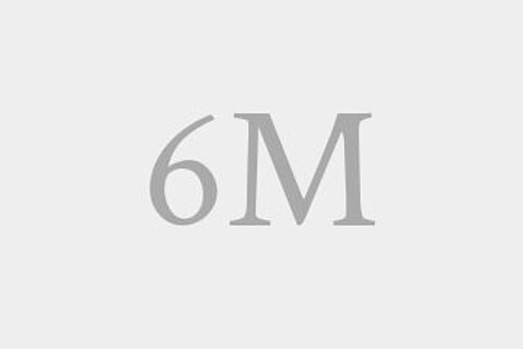 6M