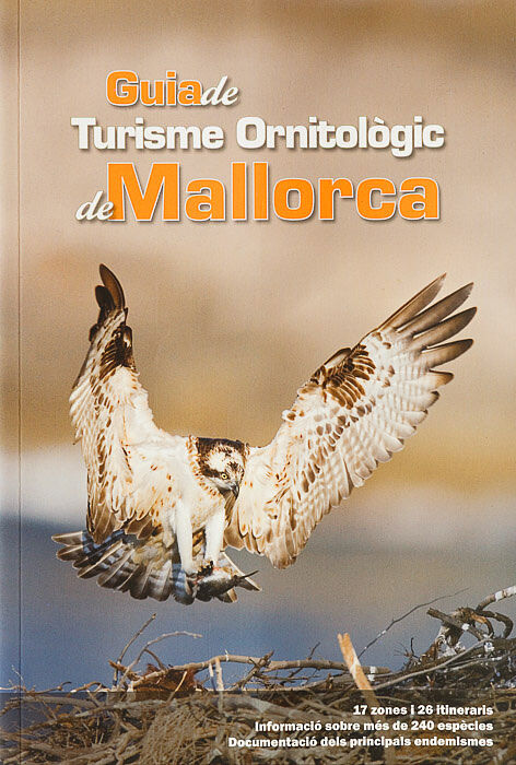 Sebastià Torrens - _mg_7255-3-ts20251130152323677533.jpg