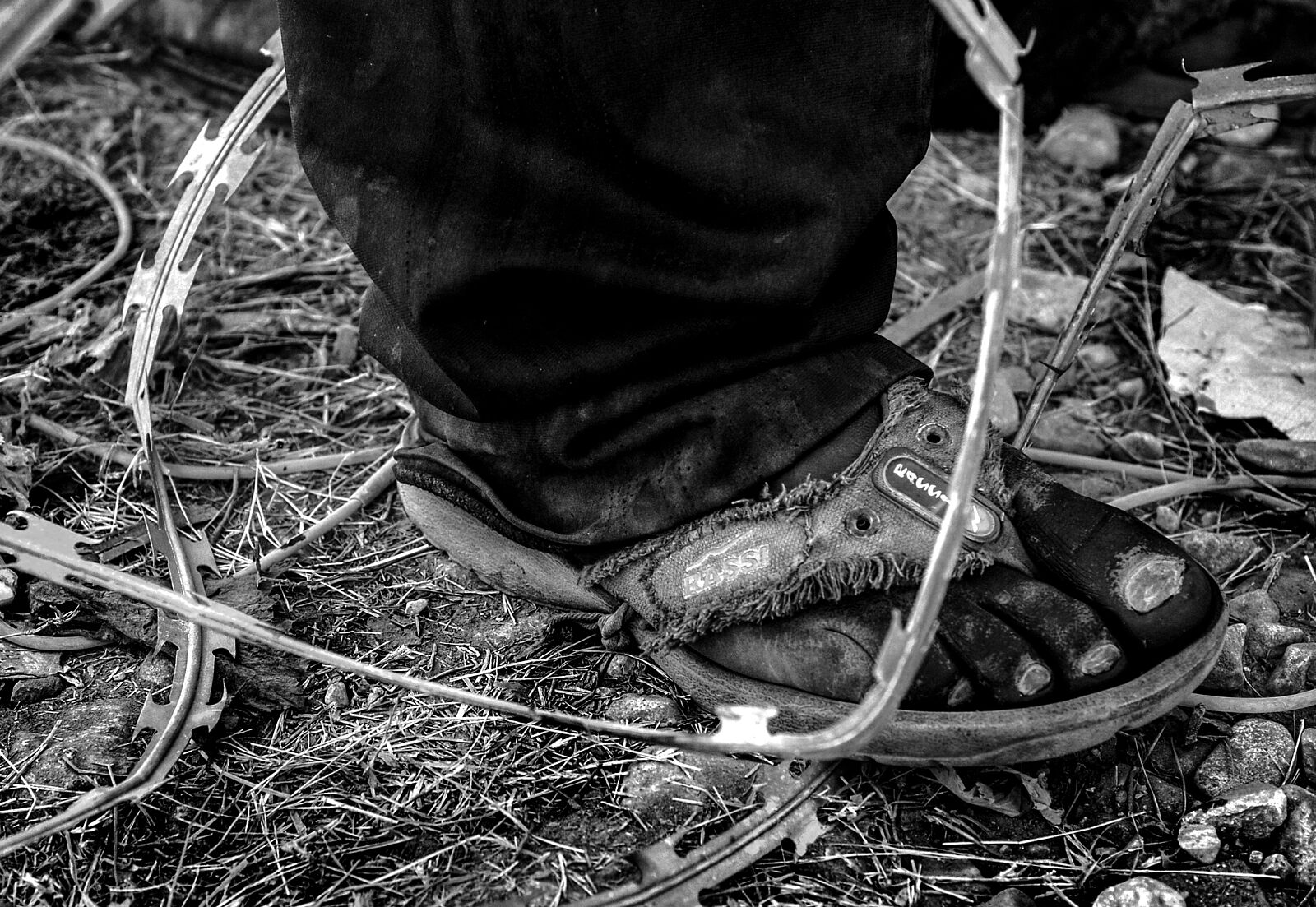 Proyecto14 by Jorge Núñez-Fotografía - portfolio21210-ts20250902205246424652.jpg