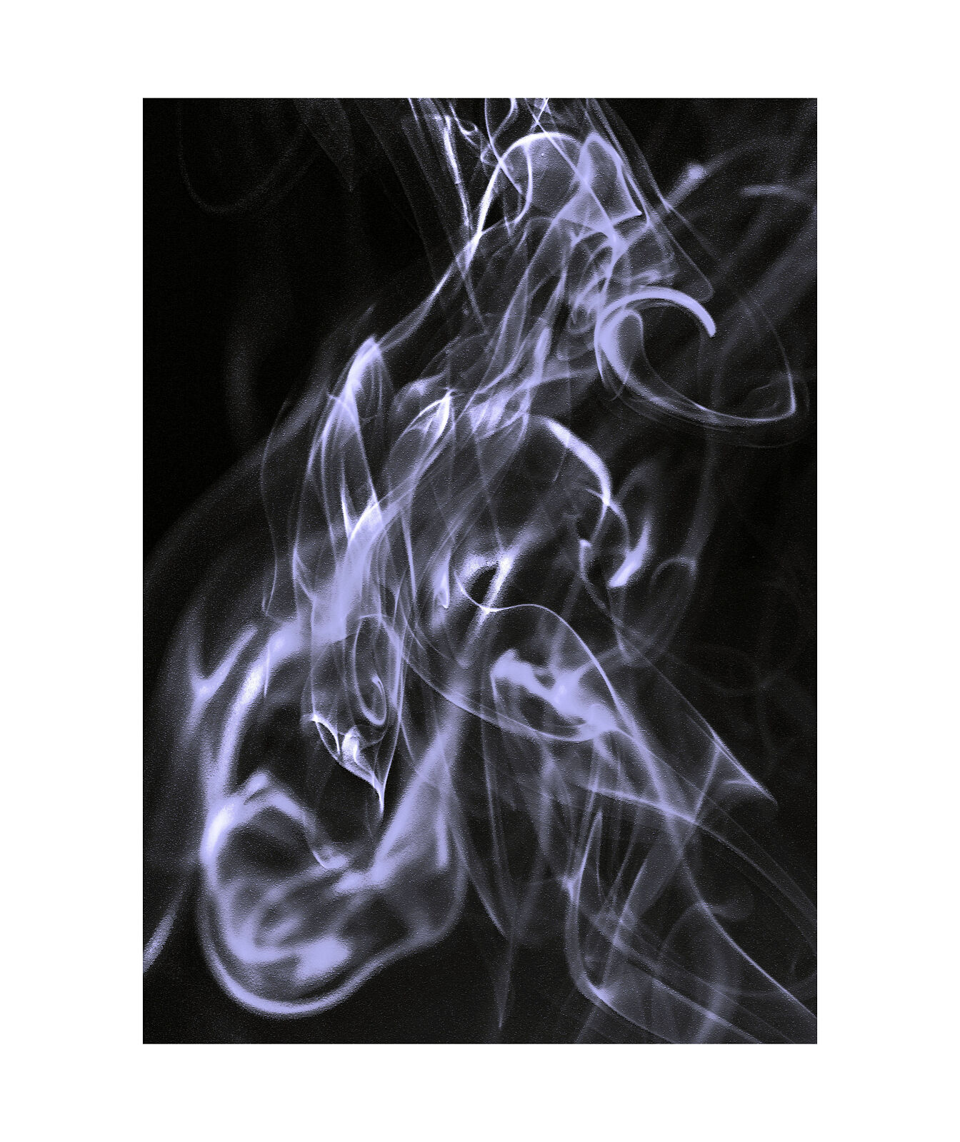 Proyecto14 by Jorge Núñez-Fotografía  - regresionesjng_8693-ts20260908202515811314.jpg