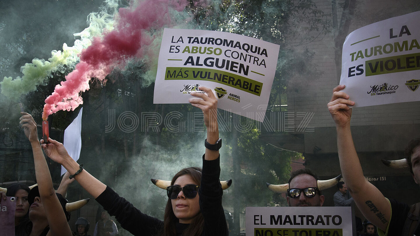 Foto noticia