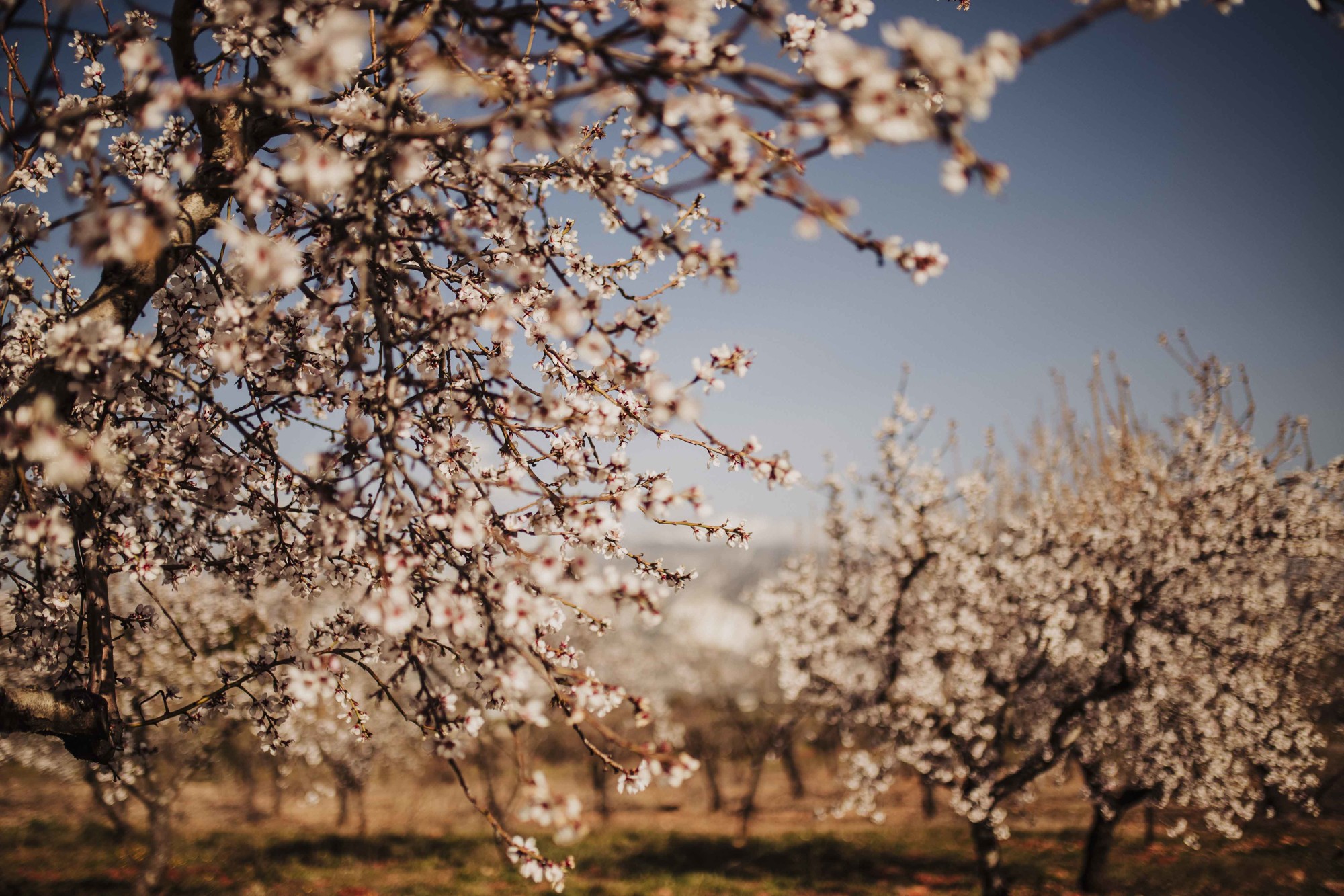 fotos embarazadas desnudo naturales Malaga malaga-39