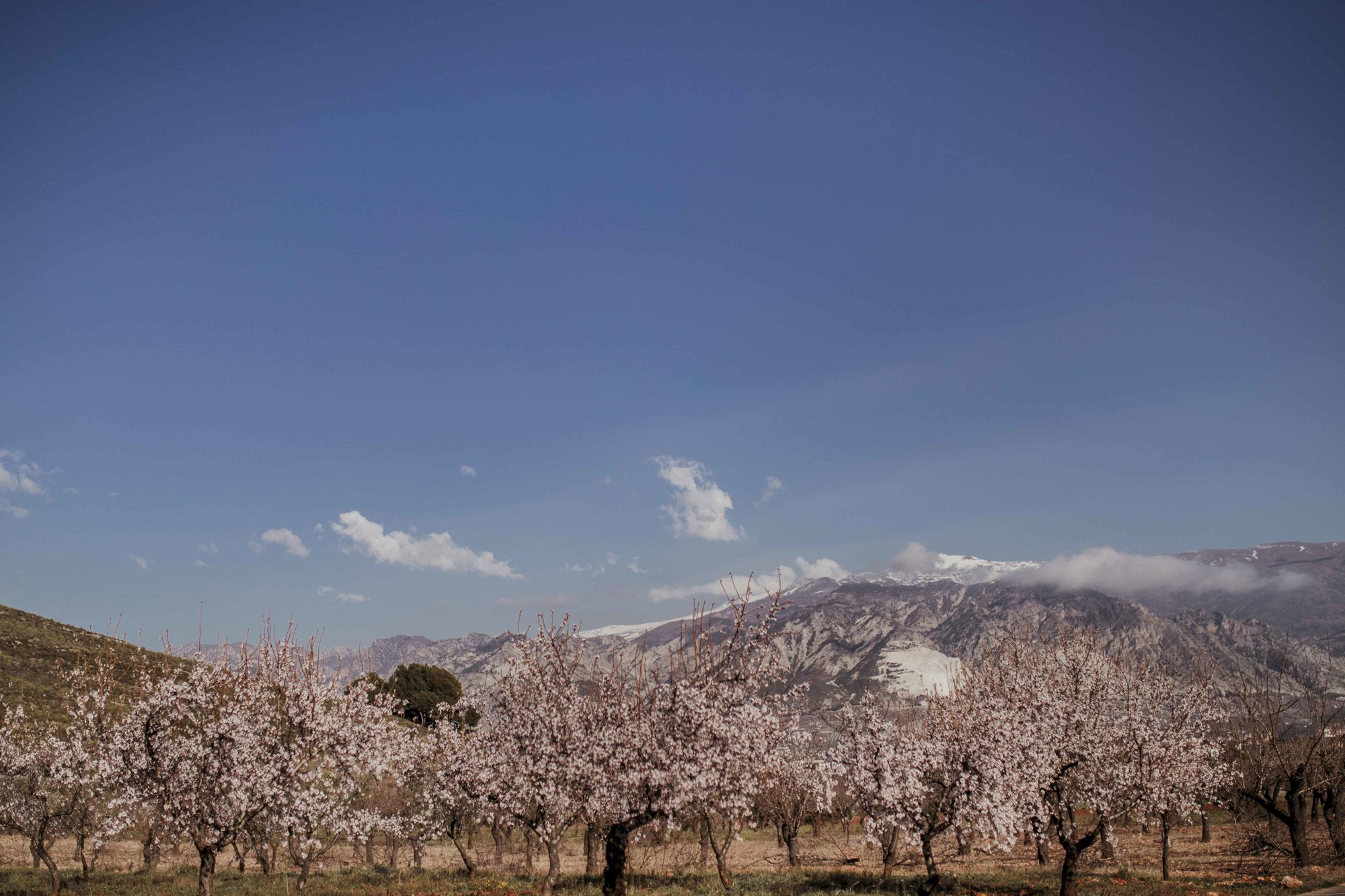 fotos embarazadas desnudo naturales Malaga malaga-41