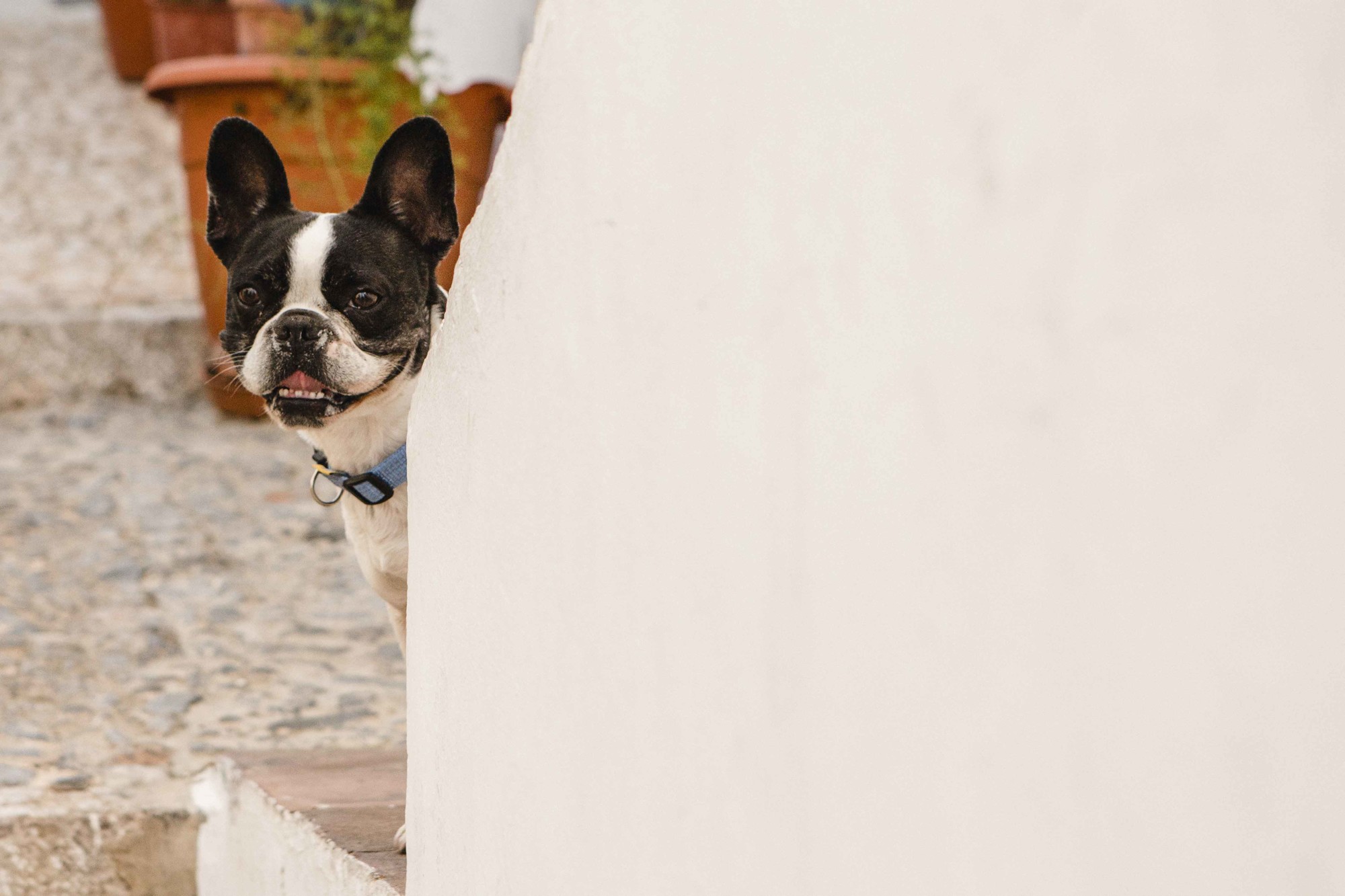 fotografos comunion malaga fotos comunion exterior Frigiliana 09