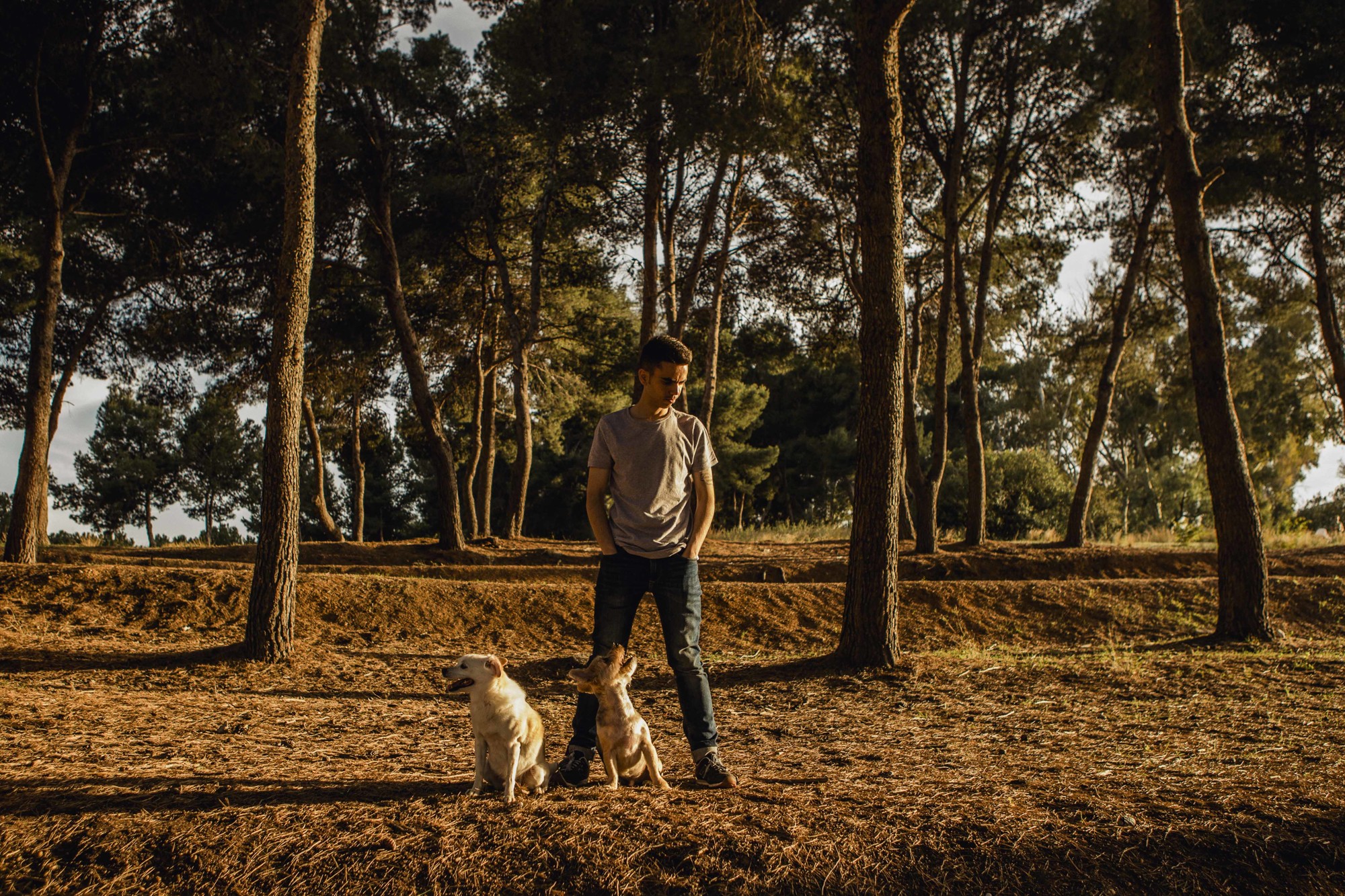 Fotografos de perros malaga-11