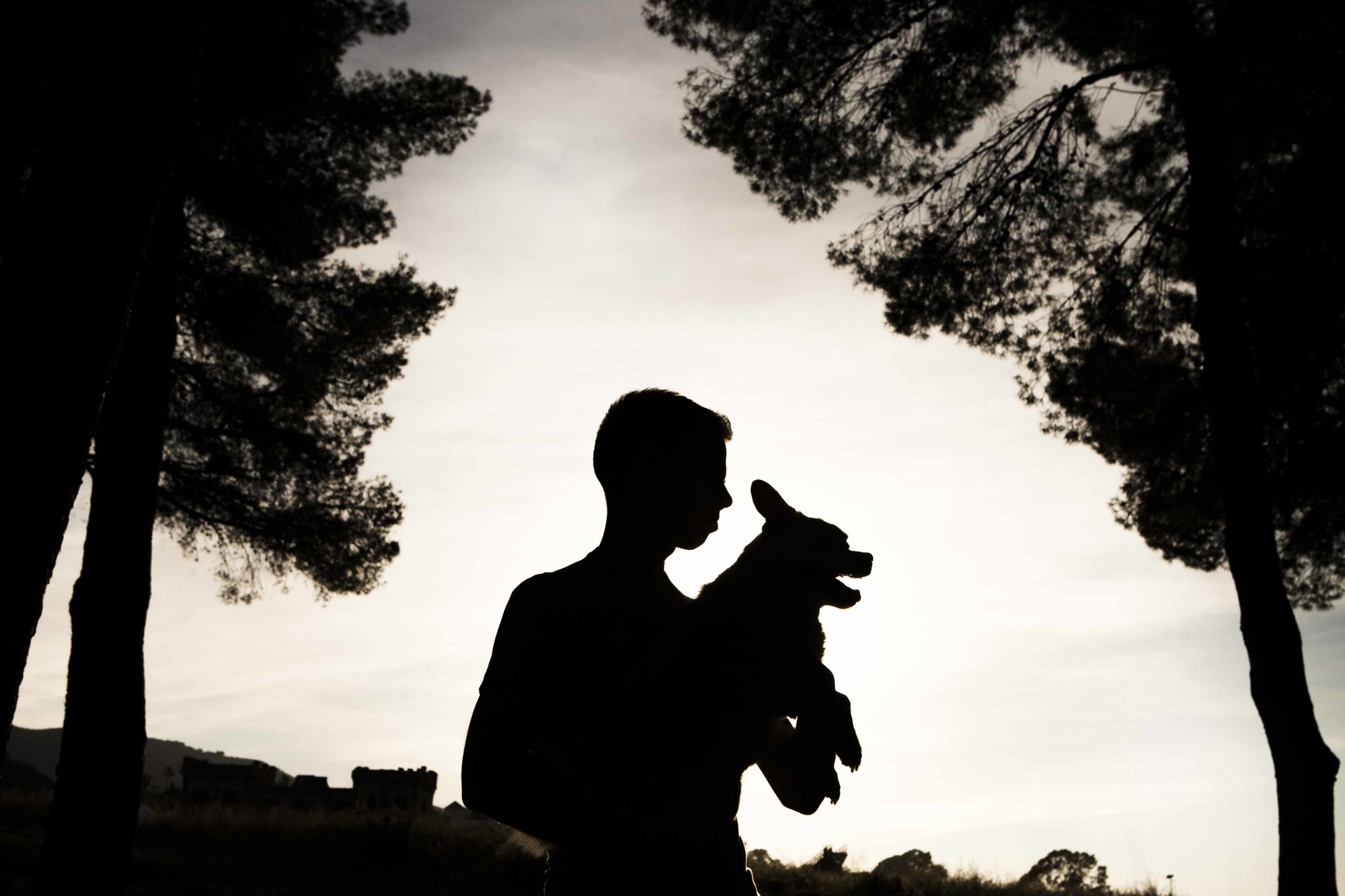 Fotografos de perros malaga-12