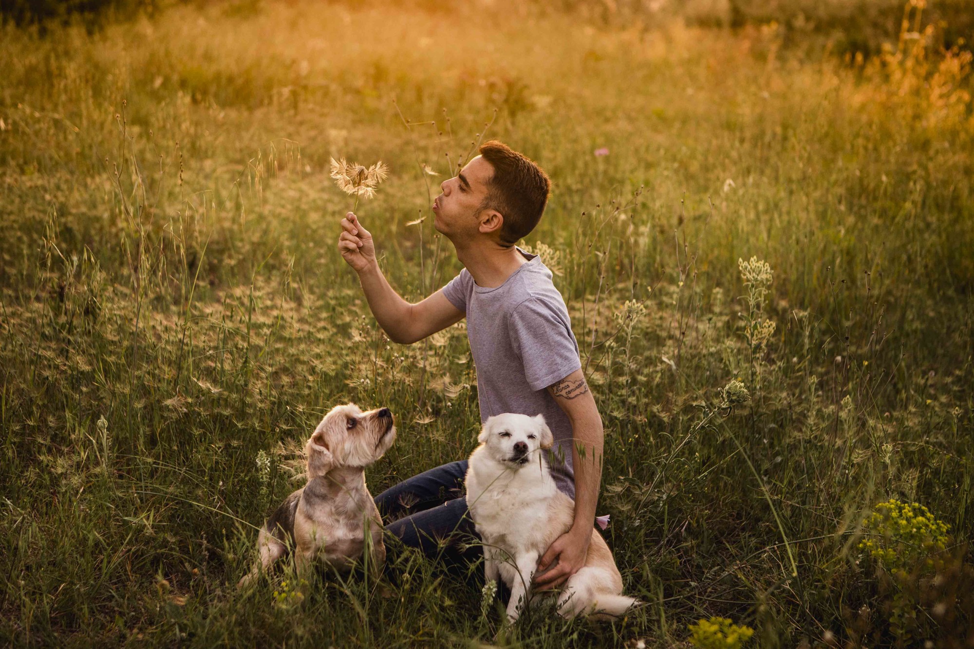 Fotografos de perros malaga-17