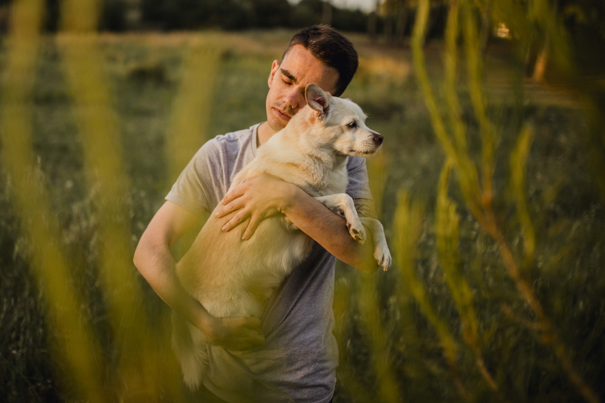 Fotografos de perros malaga-20