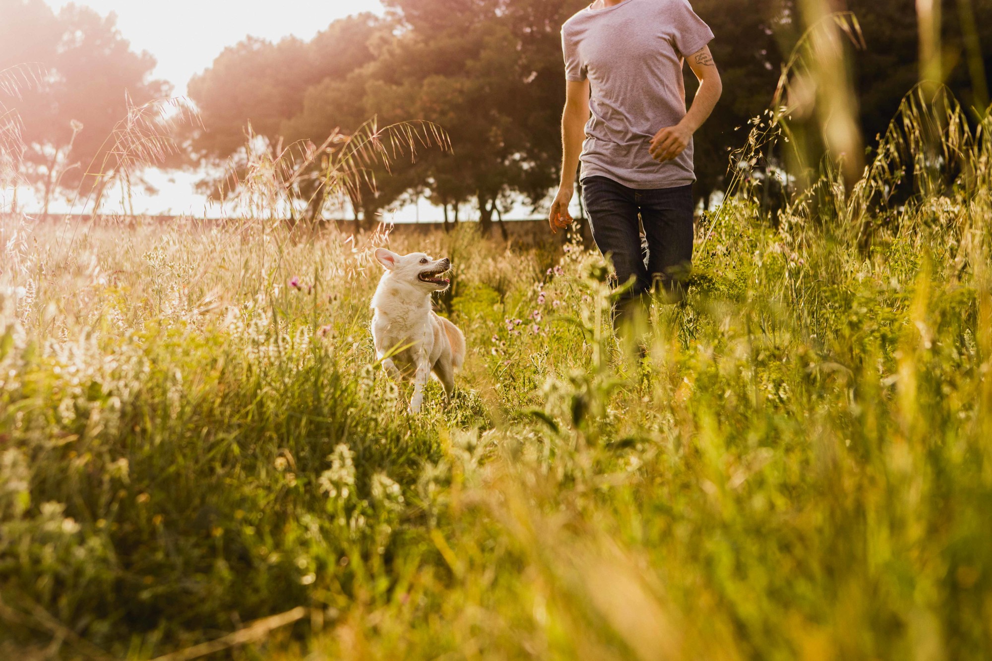Fotografos de perros malaga-6