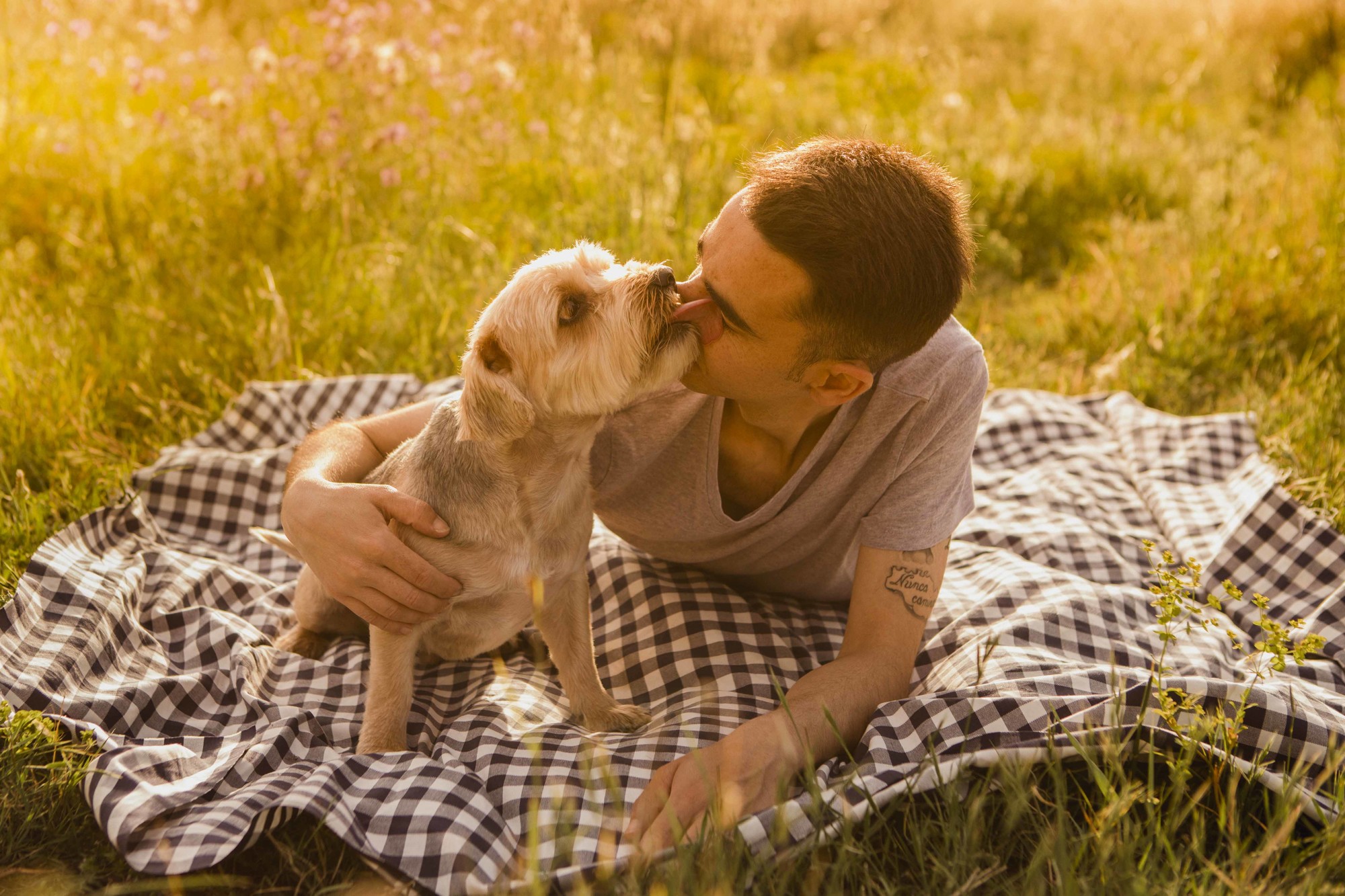 Fotografos de perros malaga-7