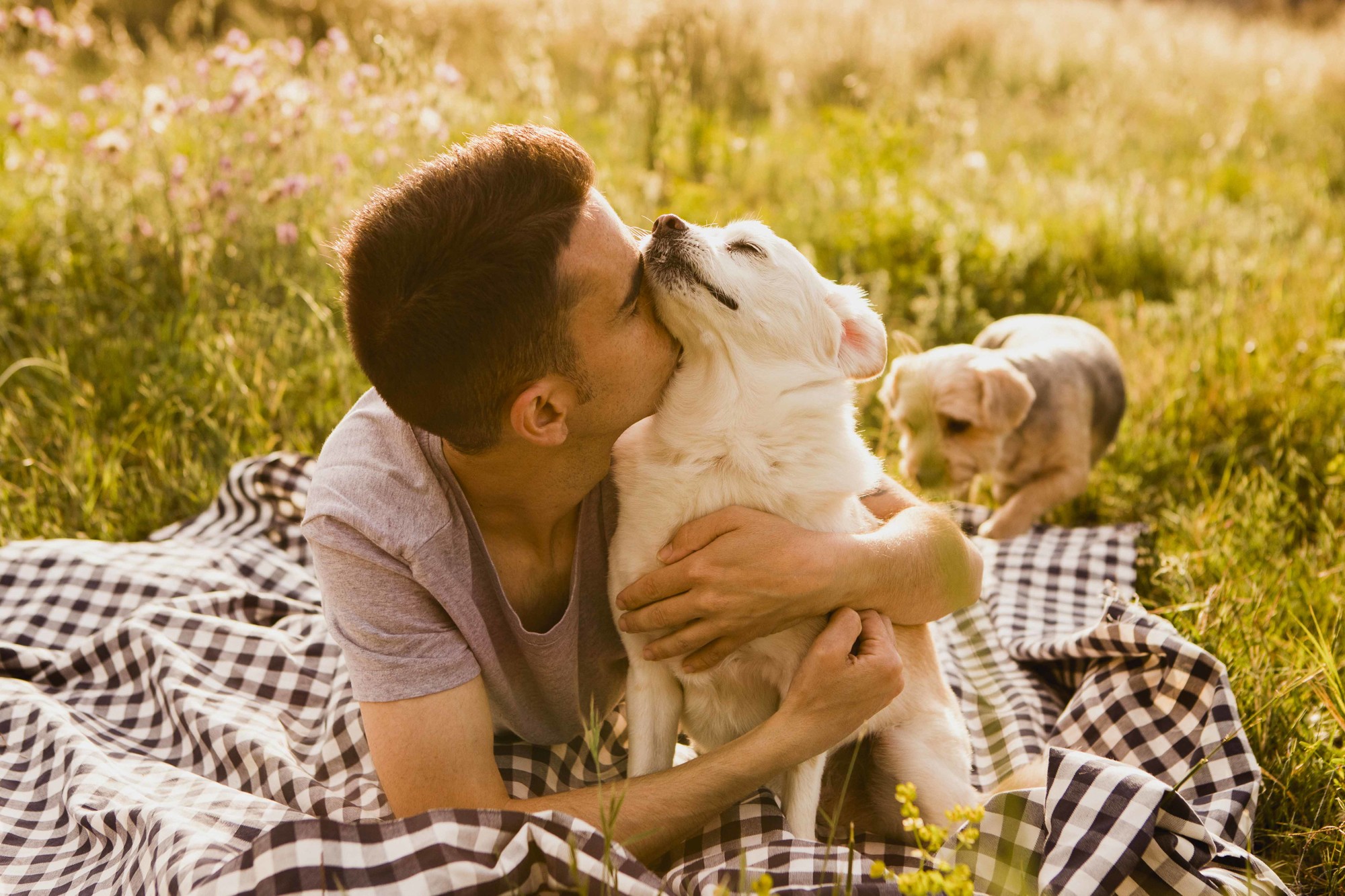 Fotografos de perros malaga