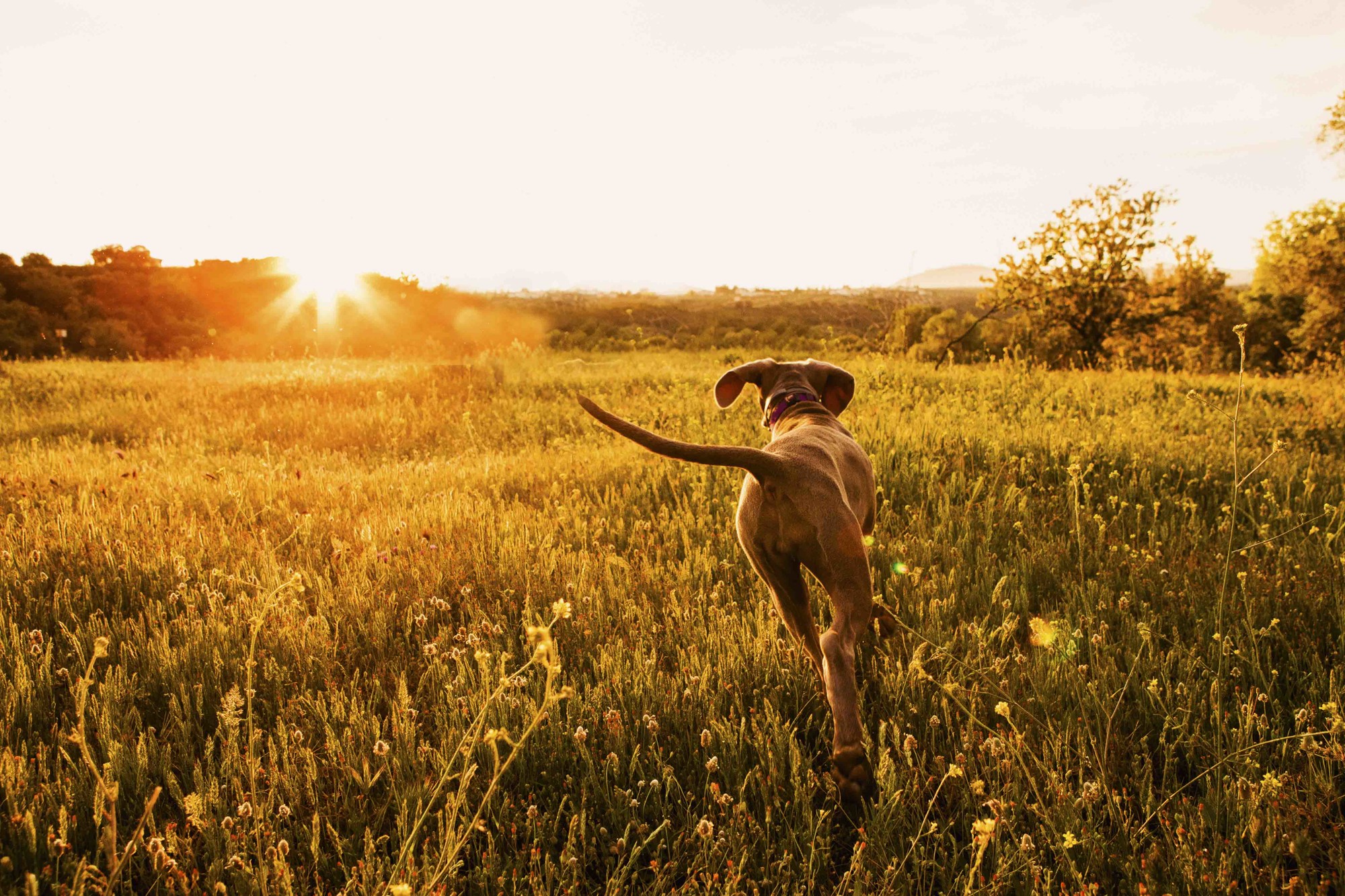 fotografos comunion malaga fotografos de familia marbella Malaga-22
