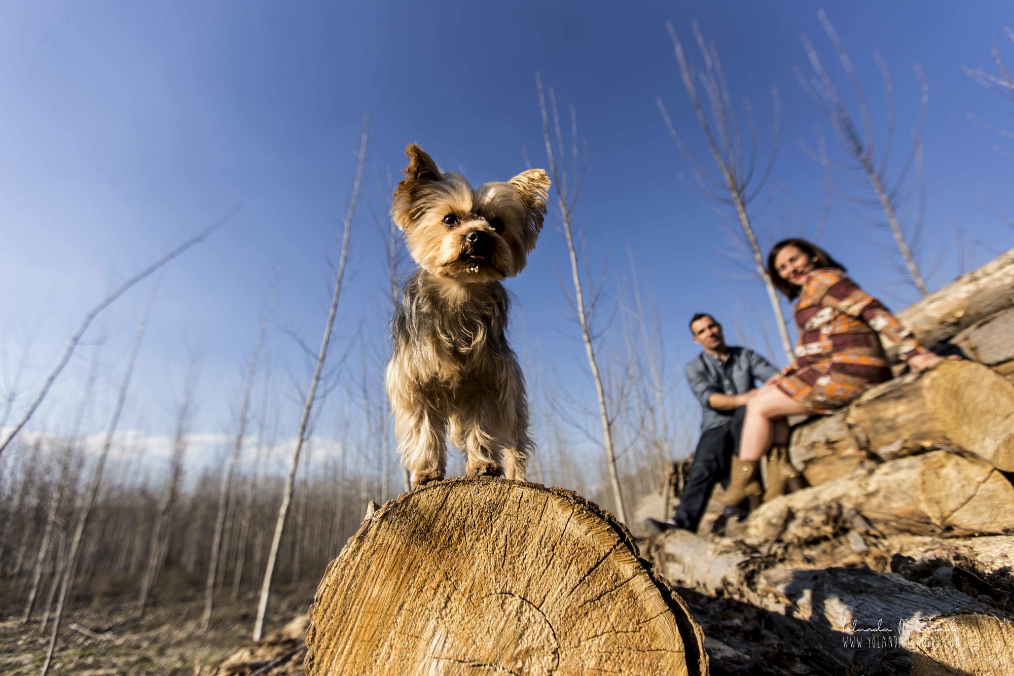 IMG_0003fotografos de embarazadas granada